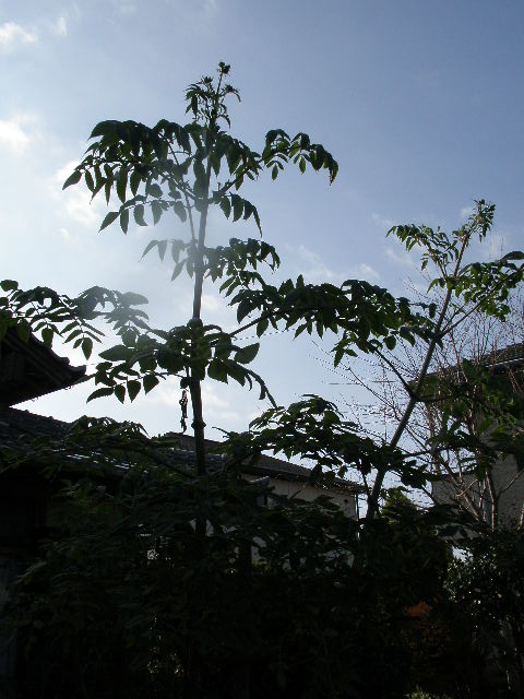 b0157276_10328100.jpg