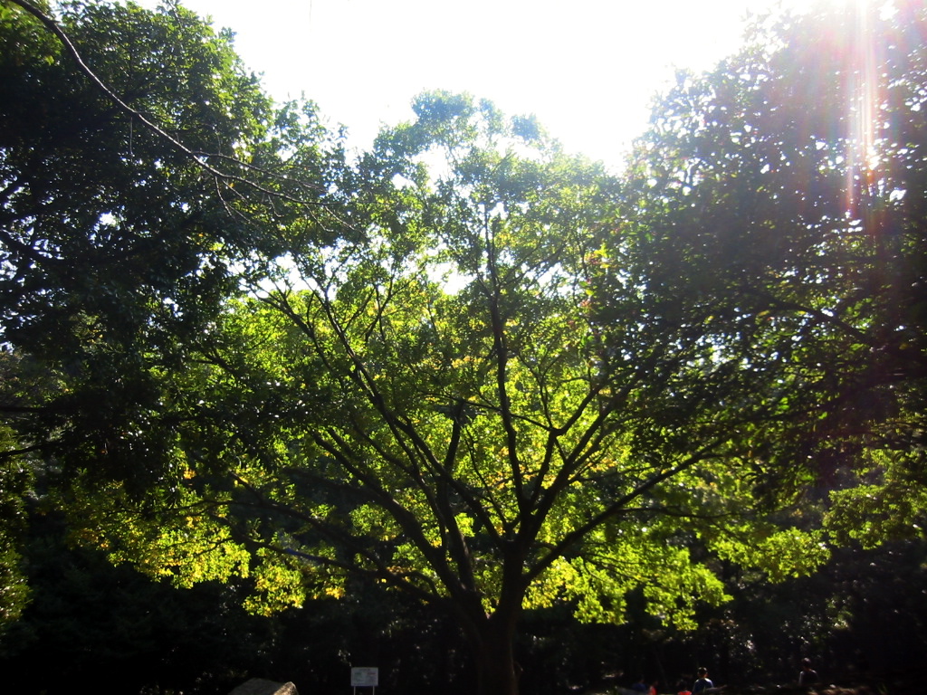 f0068878_21141450.jpg