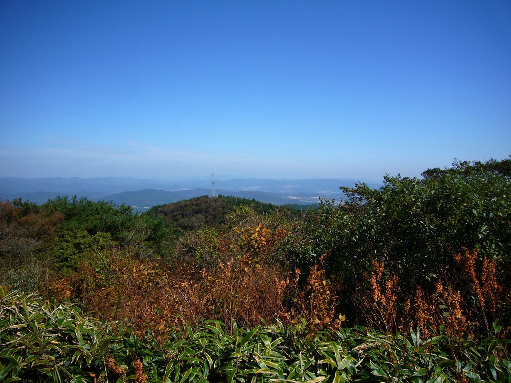 e0024081_16504540.jpg