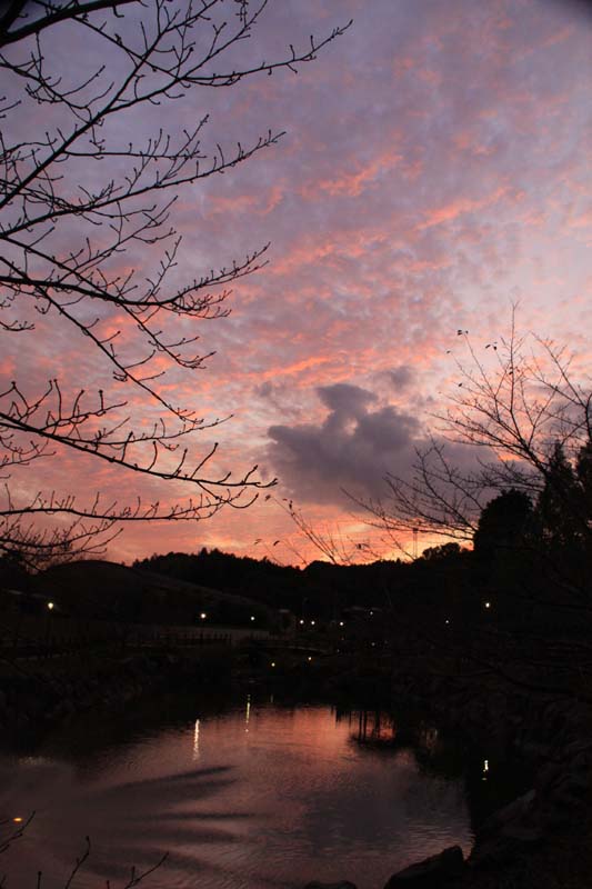 c0177785_5565132.jpg