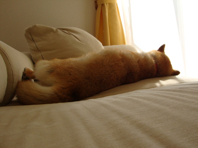今頃何してるかな?_a0126590_22514215.jpg