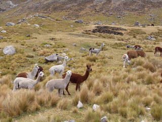 a0137192_011013.jpg