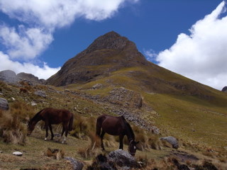 a0137192_0113357.jpg