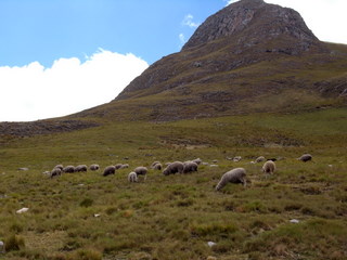 a0137192_0122536.jpg