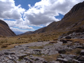 a0137192_013354.jpg