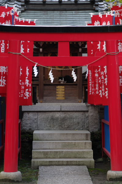 f0207693_10424.jpg