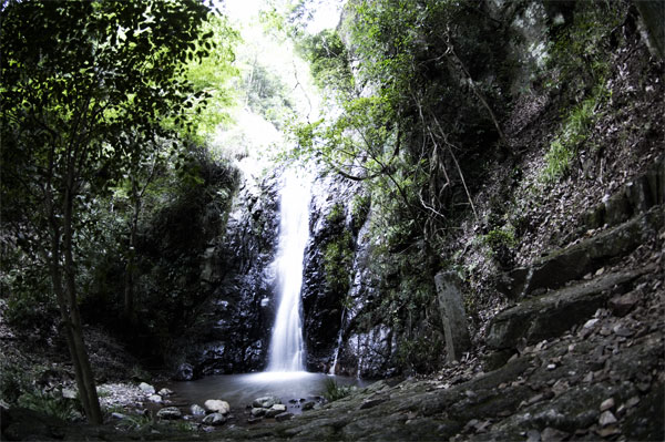 e0166097_21491628.jpg
