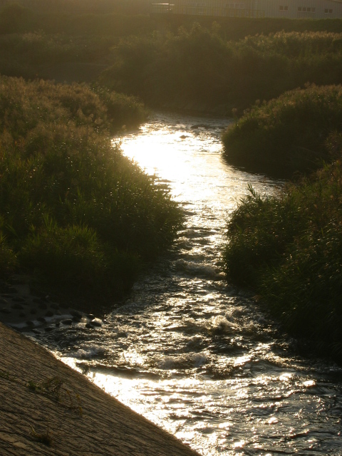 f0143299_1123875.jpg