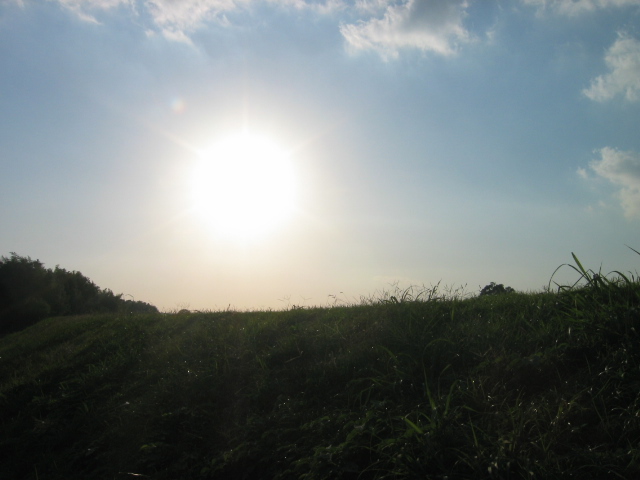 f0143299_131596.jpg