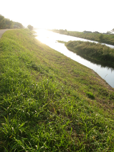 f0143299_164956.jpg