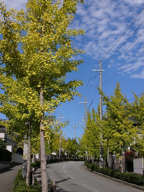 a0123003_11203082.jpg