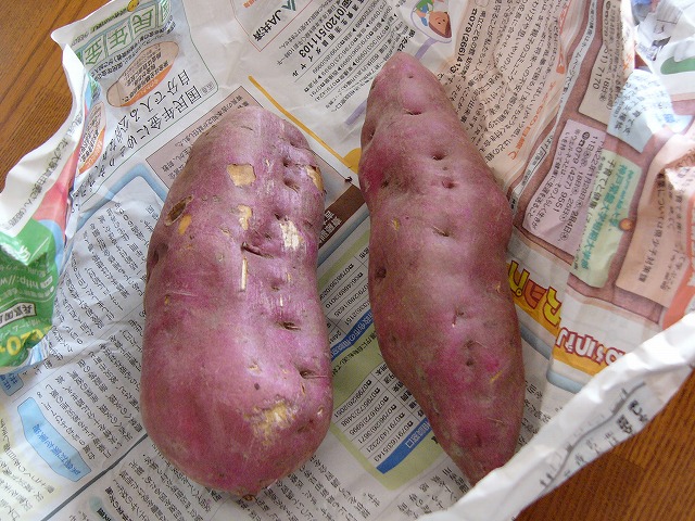 a0123003_11282022.jpg
