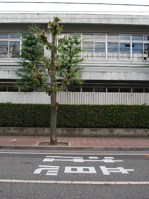 埼玉県戸田市立戸田第一小学校・旧校舎(昭和モダン建築探訪)_f0142606_23151772.jpg