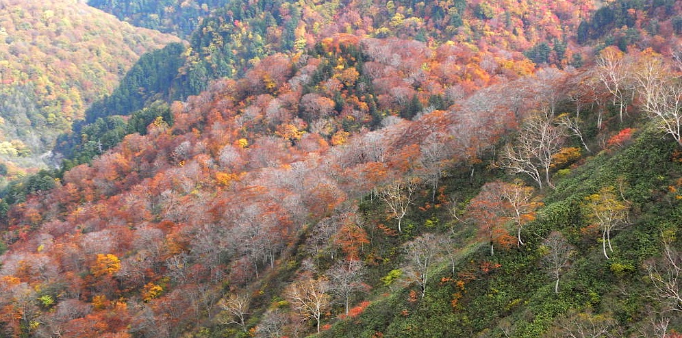 美濃禅定道　銚子ヶ峰〜三ノ峰〈後編〉　１０月２１日（水）_c0078410_9371760.jpg