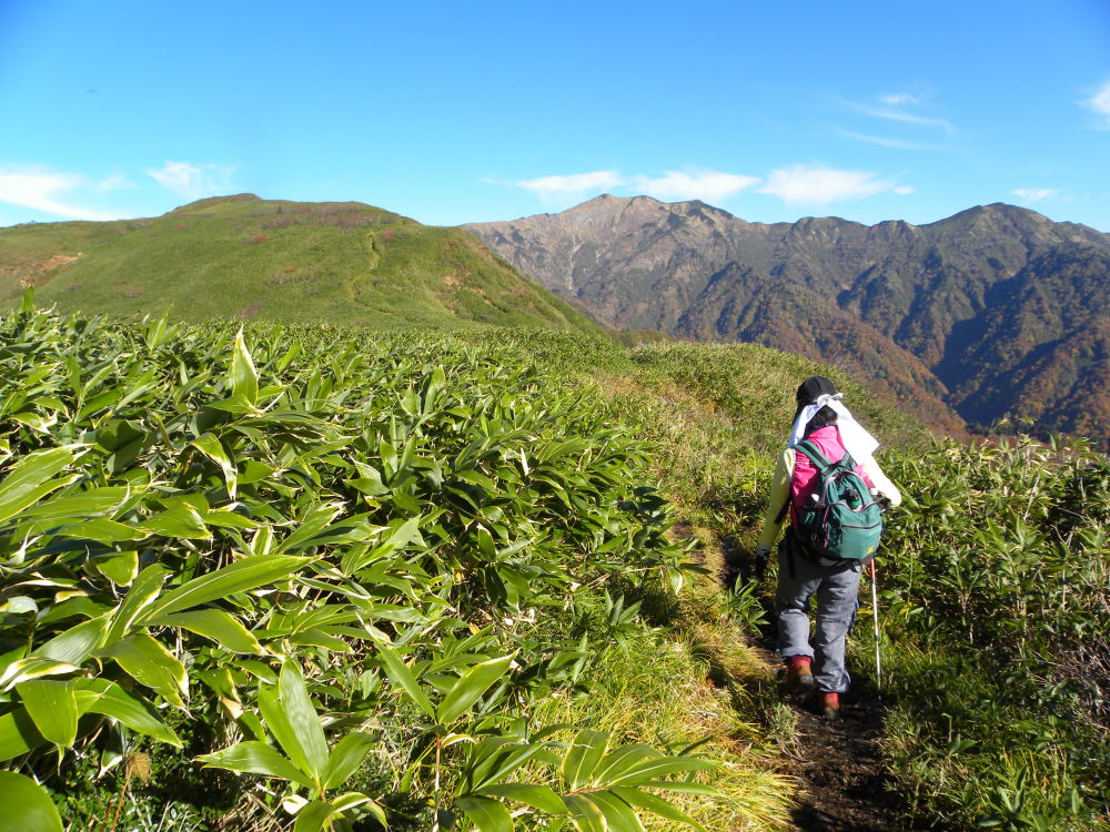 美濃禅定道　銚子ヶ峰〜三ノ峰〈前編〉　１０月２１日（水）_c0078410_944353.jpg