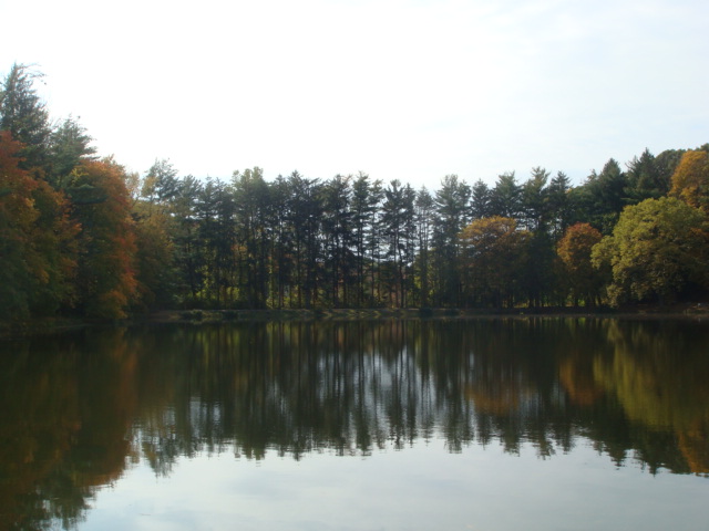 e0147716_740489.jpg