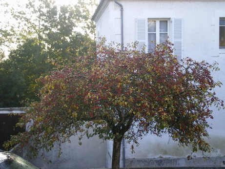 c0124619_2152497.jpg