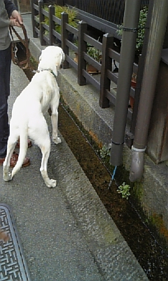 c0114121_22321130.jpg
