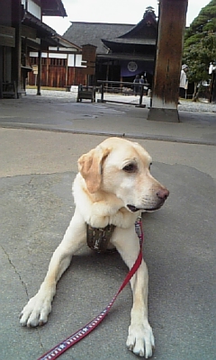 c0114121_22381011.jpg