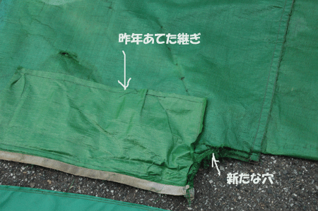 b0178923_1652138.gif