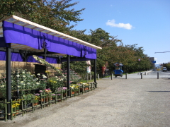 b0147224_1320989.jpg