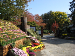 b0147224_13255956.jpg