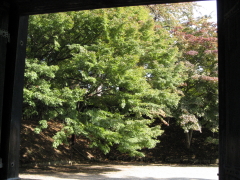 b0147224_1333486.jpg