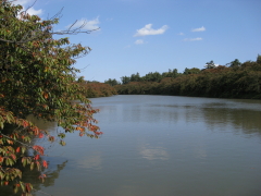 b0147224_13393666.jpg