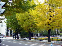 f0165224_2392227.jpg