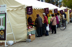 f0165224_239332.jpg