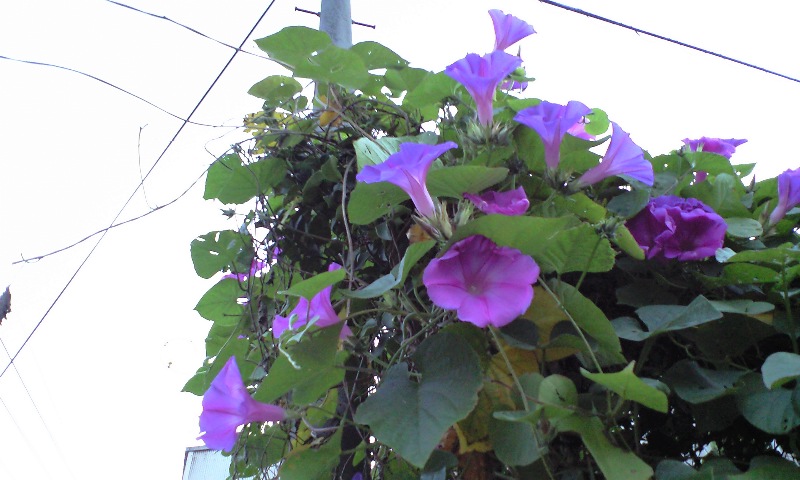 c0213236_9141143.jpg