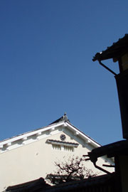 ＊ねるねるねるね_a0030038_0463781.jpg