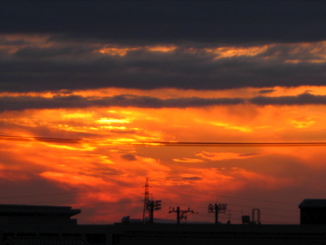 a0126341_3142740.jpg