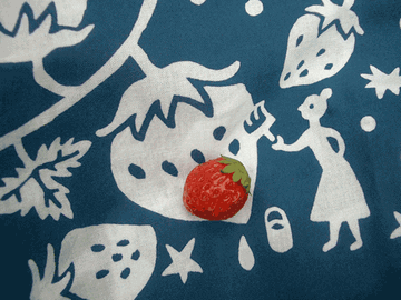 c0199743_18214454.gif