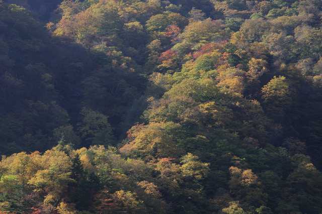 2009/10/18 霧降高原から戦場ヶ原へ_d0146443_22192418.jpg