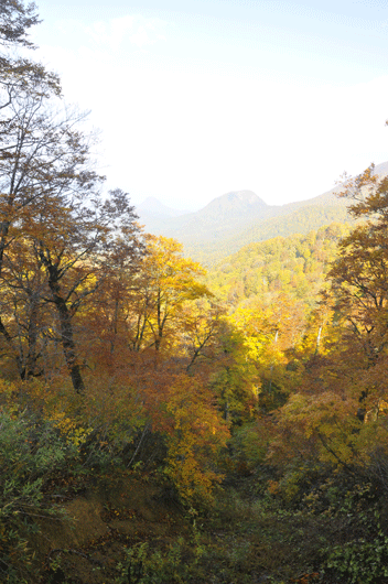 c0093046_6515712.gif