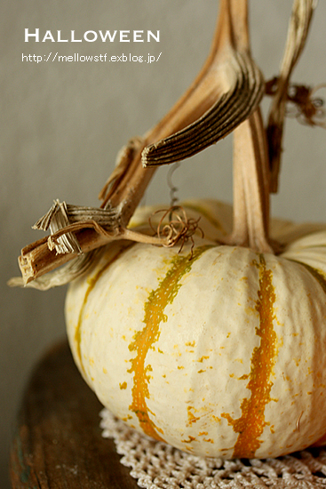Halloweenのカボチャ♪_d0124248_12233493.jpg