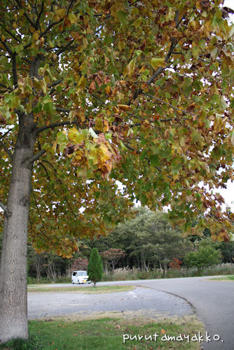 b0182850_08841.jpg