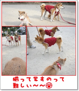 四捨五入したらハタチ?!_c0049950_21461973.jpg
