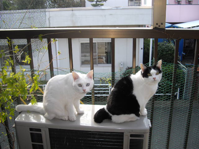 d0116059_1327338.jpg