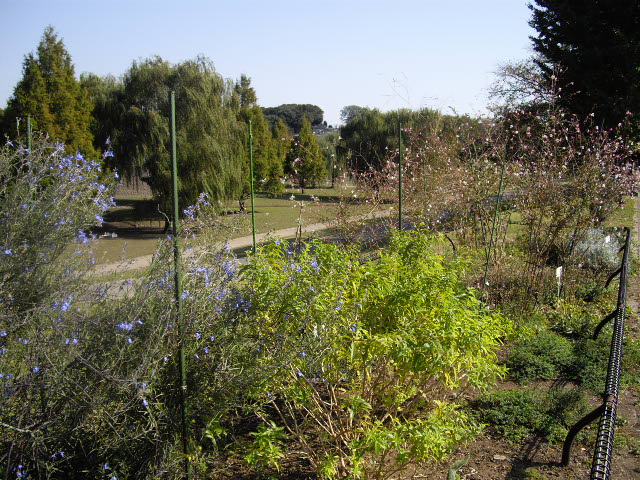 d0116059_13352185.jpg