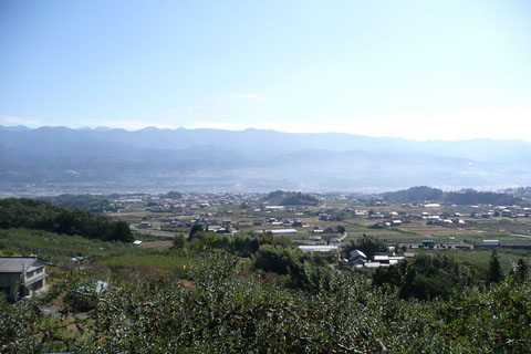 a0083760_16524780.jpg