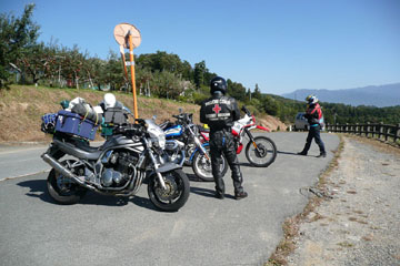a0083760_1654194.jpg
