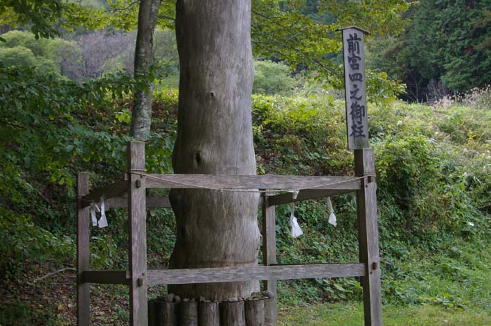 諏訪大社の御柱には縄文と弥生の記憶が…：信州秋の旅②_c0014967_22415031.jpg