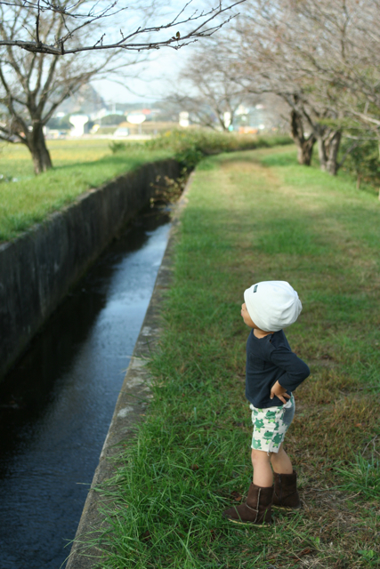 本日の幼稚園だより＆おべんとう_c0163369_1030042.jpg