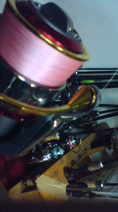PE_a0040876_0401589.jpg