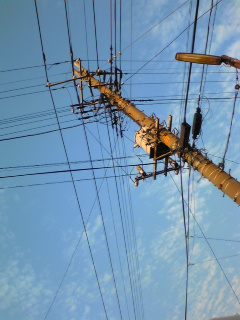 f0145976_16232479.jpg