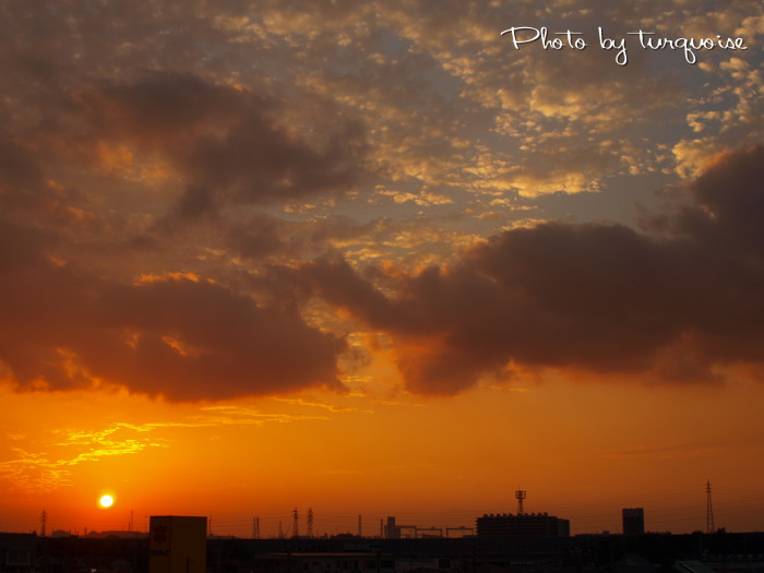 c0201284_2332313.jpg