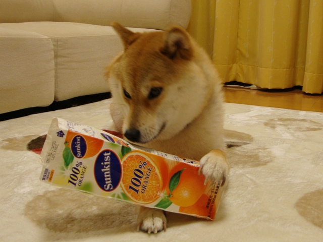 たっぷり眠りたい_a0126590_22472514.jpg