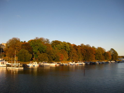 c0180096_23583763.jpg